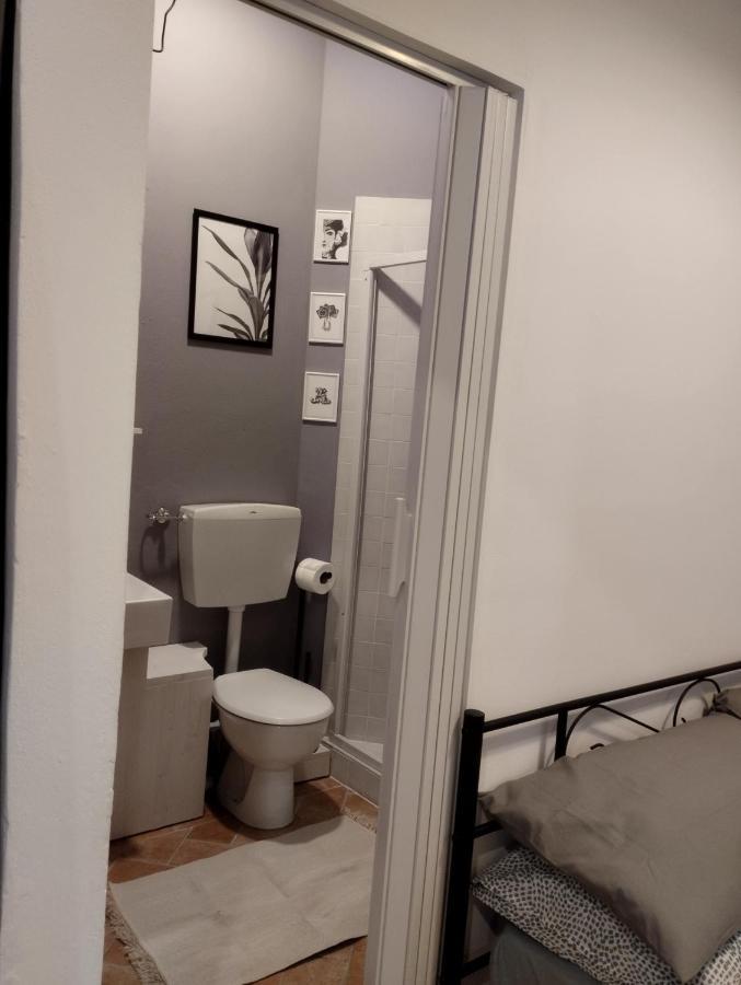 Appartamento Casa Della Chiocciola Castel del Piano  Esterno foto
